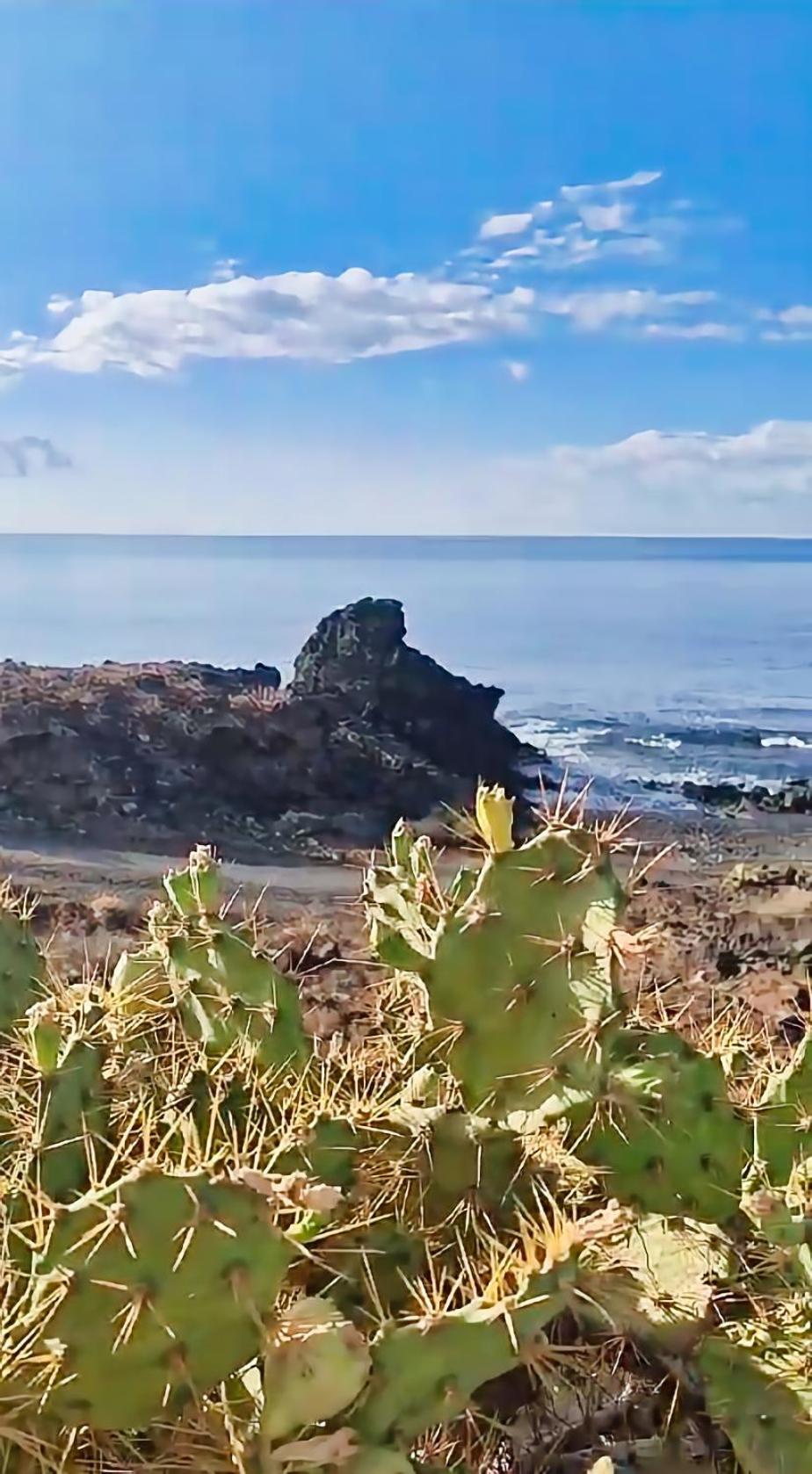 סן מיגל דה אבונה Casa Palmu Apartment - A Peaceful And Relaxing Oasis In Golf Del Sur, Tenerife מראה חיצוני תמונה