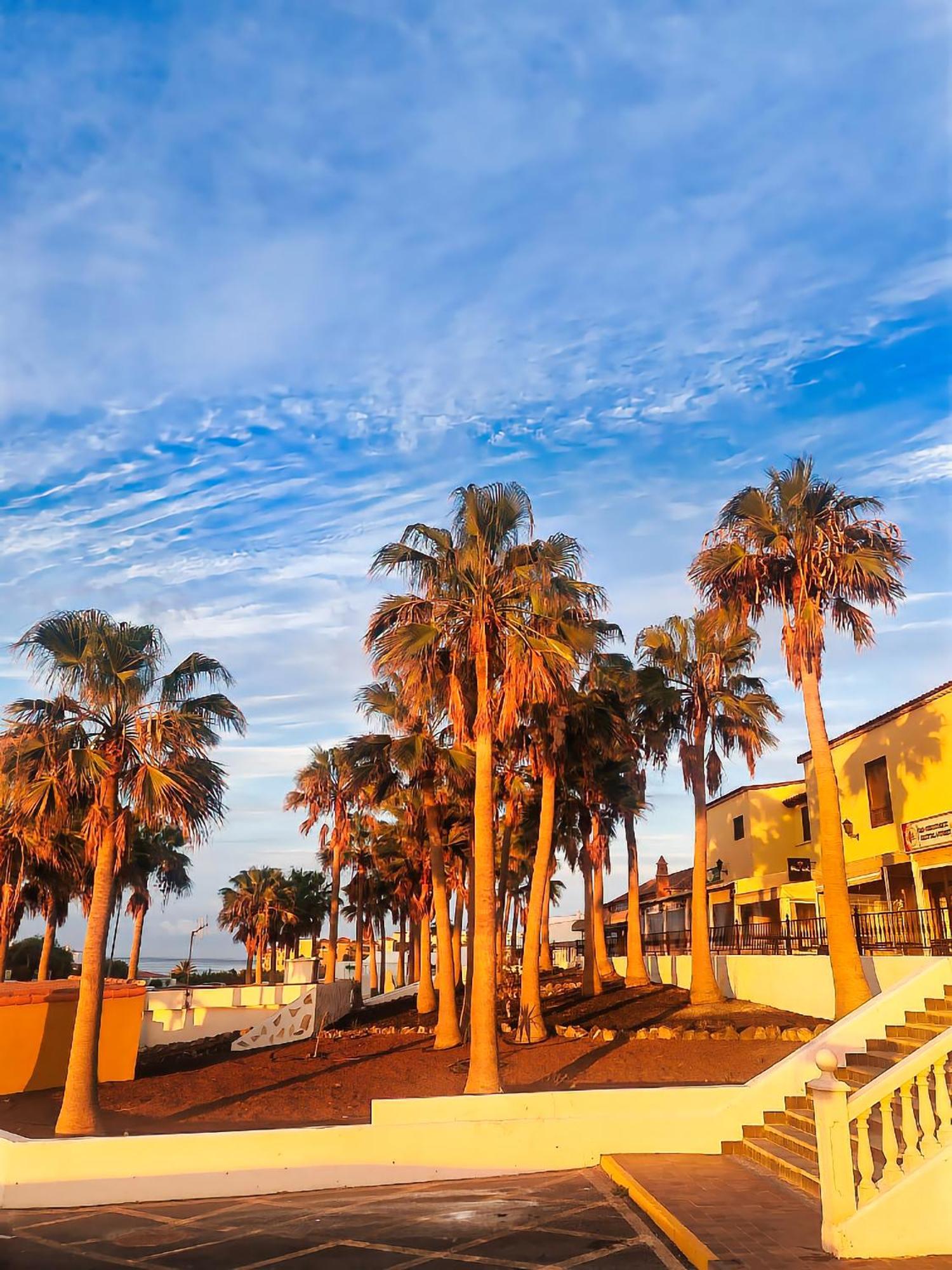 סן מיגל דה אבונה Casa Palmu Apartment - A Peaceful And Relaxing Oasis In Golf Del Sur, Tenerife מראה חיצוני תמונה