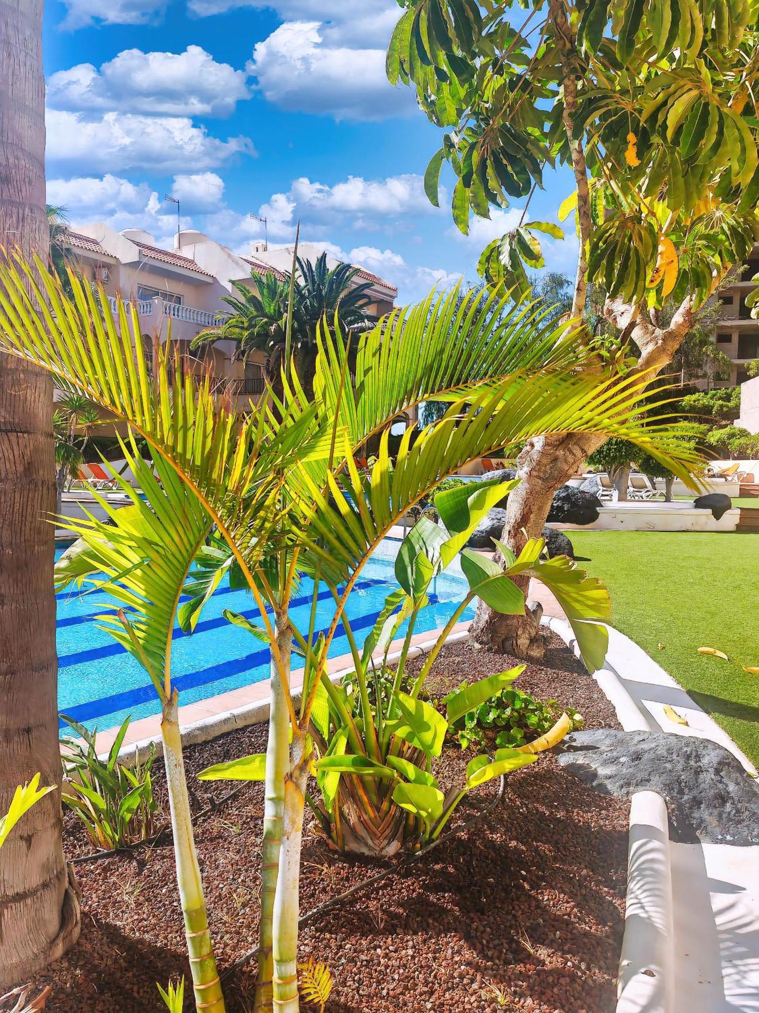סן מיגל דה אבונה Casa Palmu Apartment - A Peaceful And Relaxing Oasis In Golf Del Sur, Tenerife מראה חיצוני תמונה